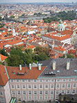 IMGP0660.jpg