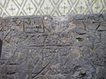 IMGP0682.jpg