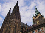 IMGP0696.jpg