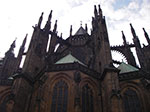 IMGP0703.jpg