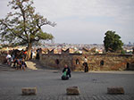 IMGP0704.jpg
