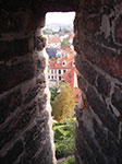 IMGP0705.jpg