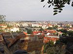 IMGP0706.jpg