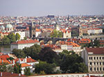 IMGP0707.jpg
