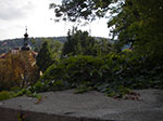 IMGP0712.jpg