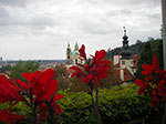 IMGP0714.jpg
