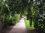IMGP0715.jpg