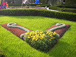 IMGP0721.jpg