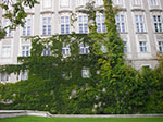 IMGP0722.jpg