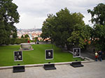 IMGP0724.jpg