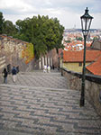 IMGP0725.jpg
