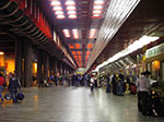 IMGP0768.jpg