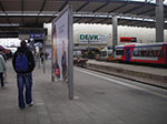 IMGP0778.jpg