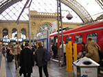 IMGP0811.jpg