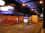 IMGP0817.jpg