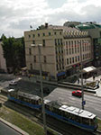 IMGP0833.jpg