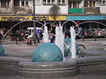 IMGP0860.jpg