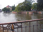 IMGP0869.jpg
