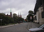 IMGP0872.jpg