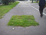 IMGP0876.jpg