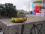 IMGP0882.jpg