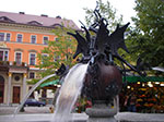 IMGP0895.jpg