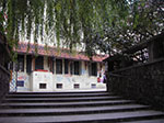 IMGP0896.jpg