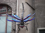 IMGP0928.jpg