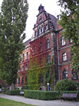 IMGP0970.jpg