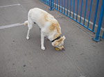 IMGP0974.jpg
