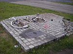 IMGP1003.jpg