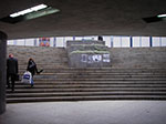 IMGP1005.jpg
