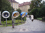 IMGP1016.jpg