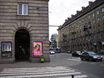IMGP1017.jpg