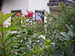 IMGP1035.jpg