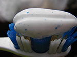 IMGP1068.jpg