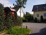 IMGP1070.jpg