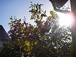 IMGP1091.jpg