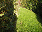 IMGP1093.jpg