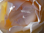 IMGP1097.jpg