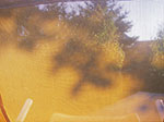 IMGP1135.jpg