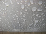 IMGP1151.jpg