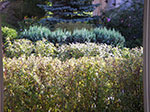 IMGP1192.jpg