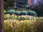 IMGP1194.jpg