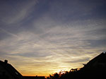 IMGP1195.jpg