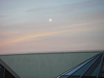 IMGP1198.jpg