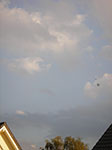 IMGP1219.jpg
