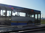IMGP1238.jpg