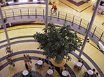 IMGP1251.jpg