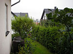 IMGP1350.jpg